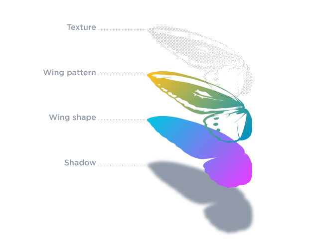 diagram of butterfly wing layers