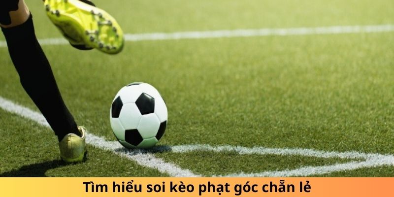 Tìm hiểu soi kèo phạt góc chẵn lẻ