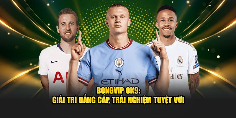 Bongvip: Giải Trí Thể Thao Đẳng Cấp, Trải Nghiệm Tuyệt Vời