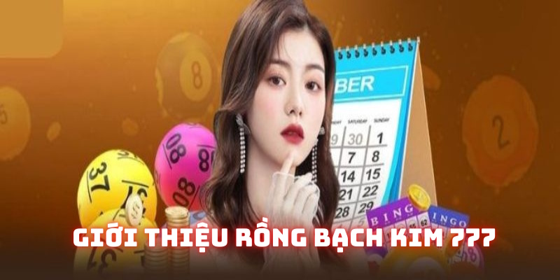 Đôi nét về cầu lô Rồng Bạch Kim 777