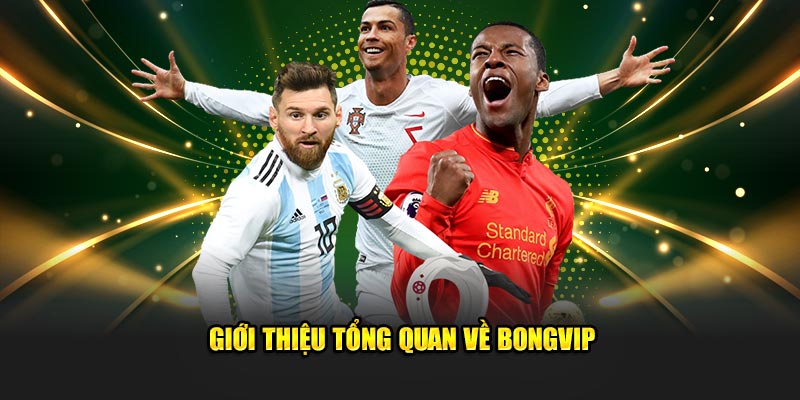 Khái quát thông tin về Bongvip